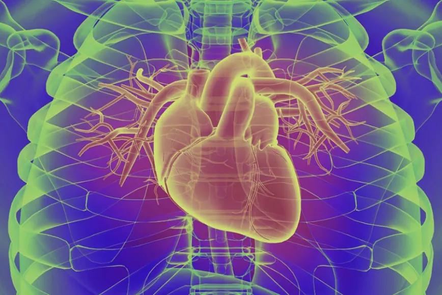 Imagen sin descripción