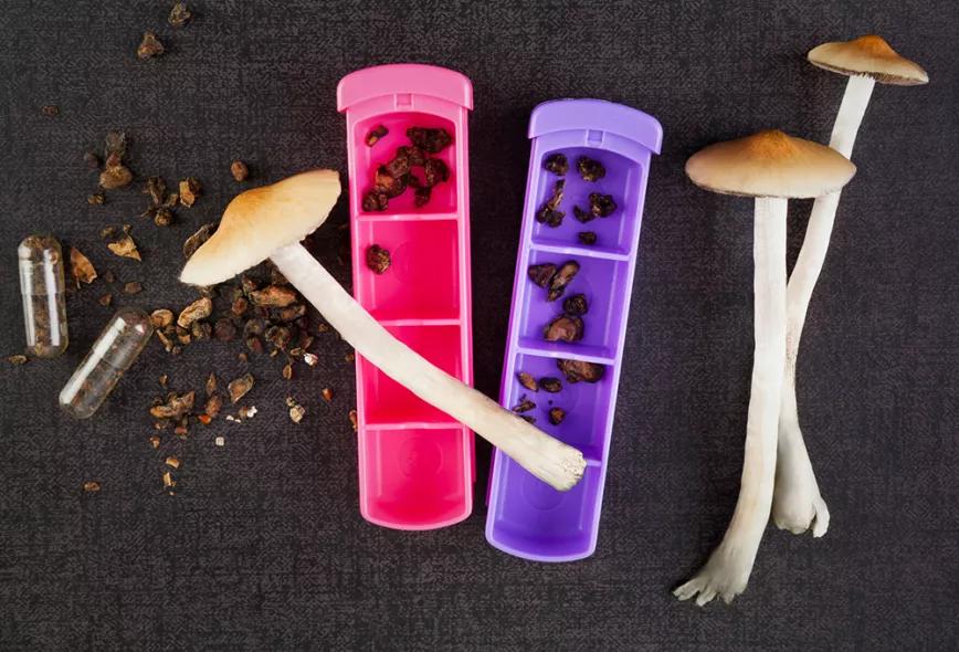 Imagen sin descripción