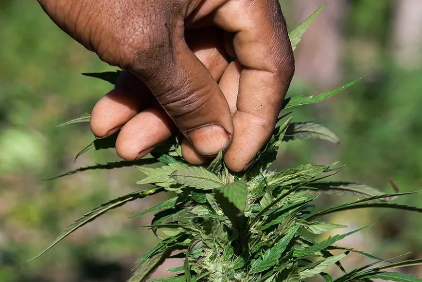 Imagen sin descripción