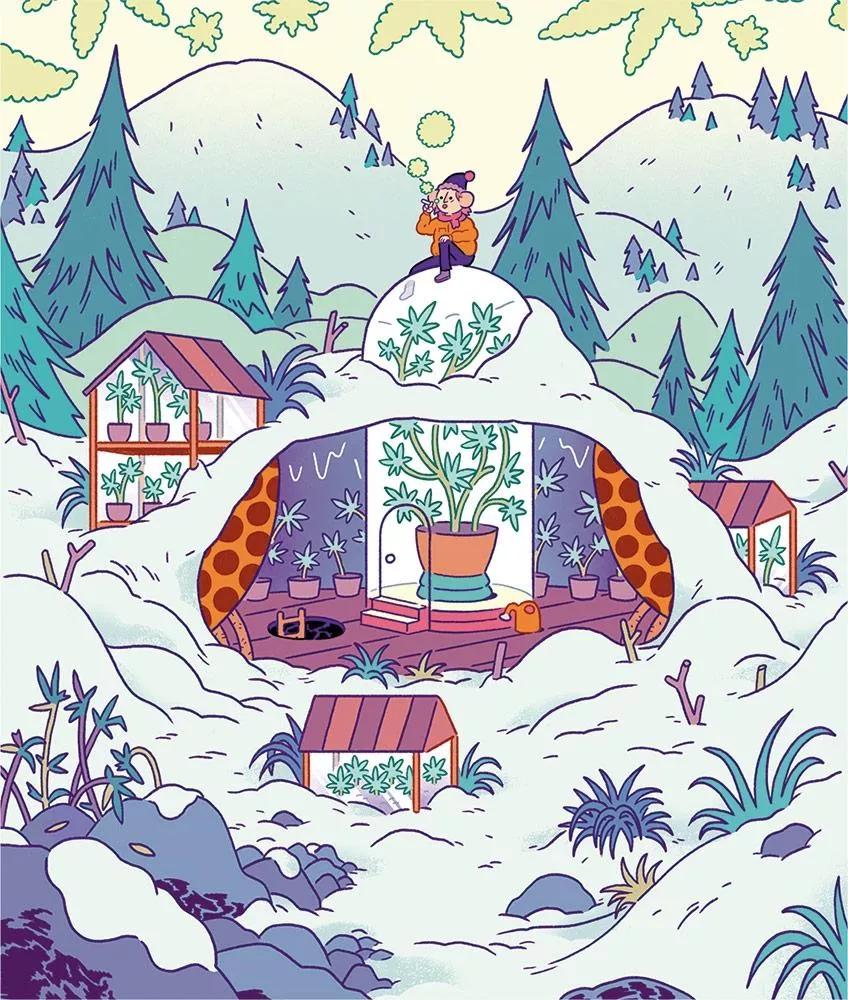 Imagen sin descripción