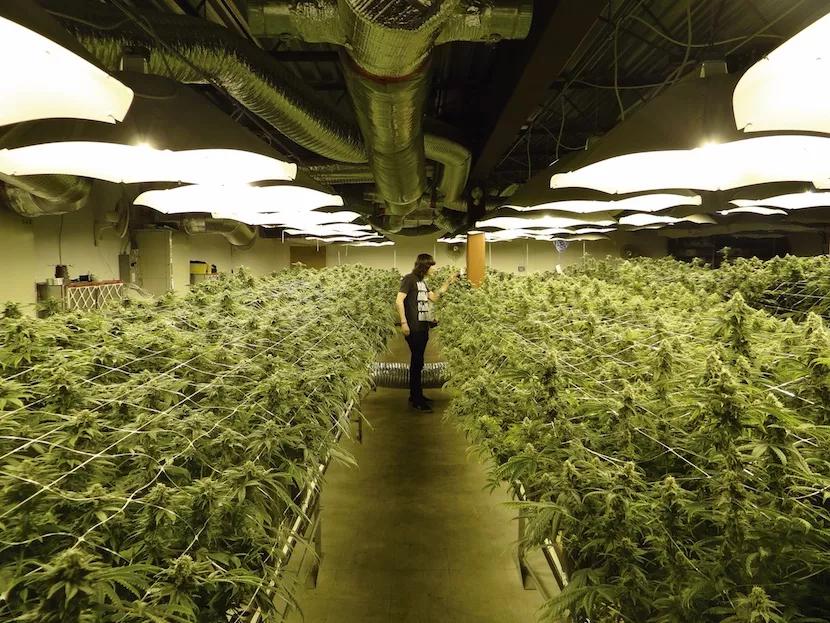 El entrevistado revisando el estado de un paraíso terrenal.