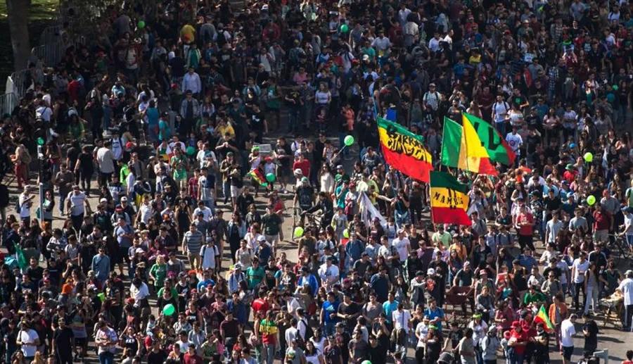 cultiva tus derechos marcha marihuana chile 2018