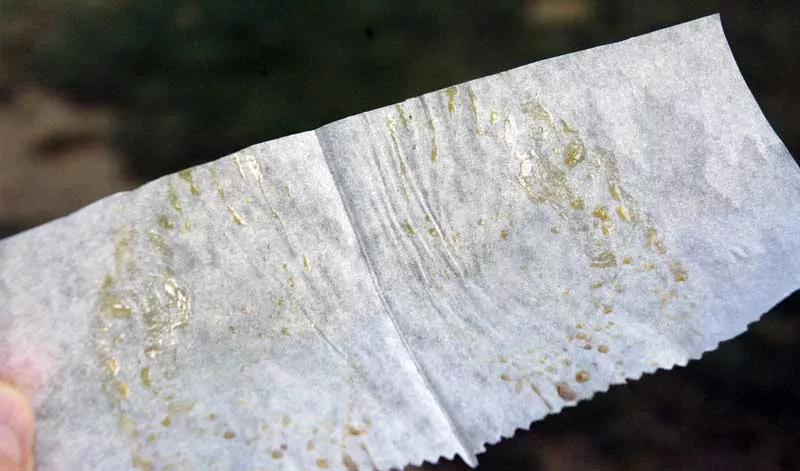 Rosin Tech: Elaboración paso a paso