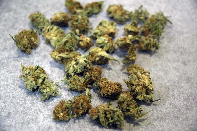 Rosin Tech: Elaboración paso a paso