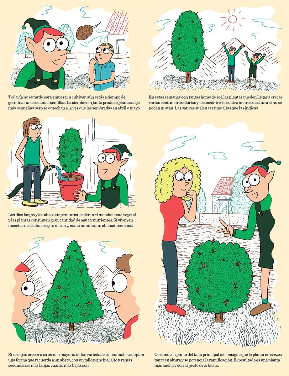 Cómic cannabis para torpes