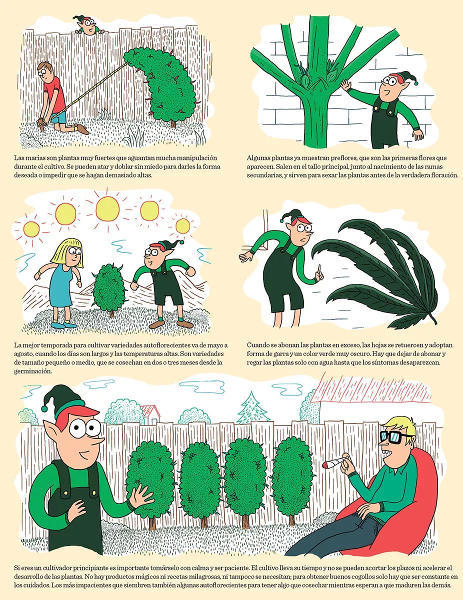 Cómic cannabis para torpes