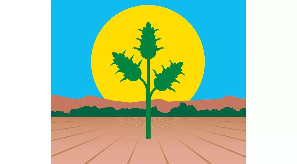 Lunario ¡El jardín florece!