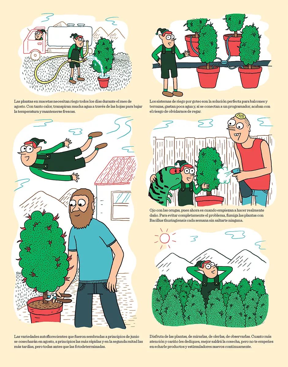 Cómic Calor y floración