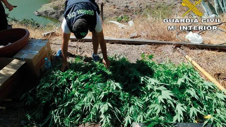 Tres detenciones en Gran Canaria