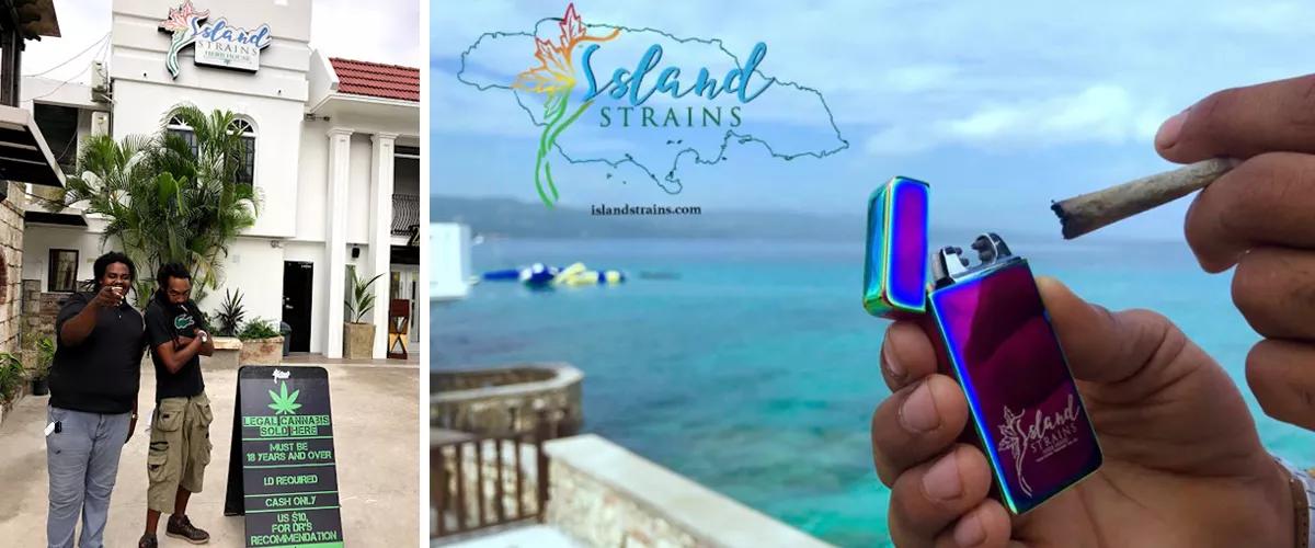 Island Strains Herb House