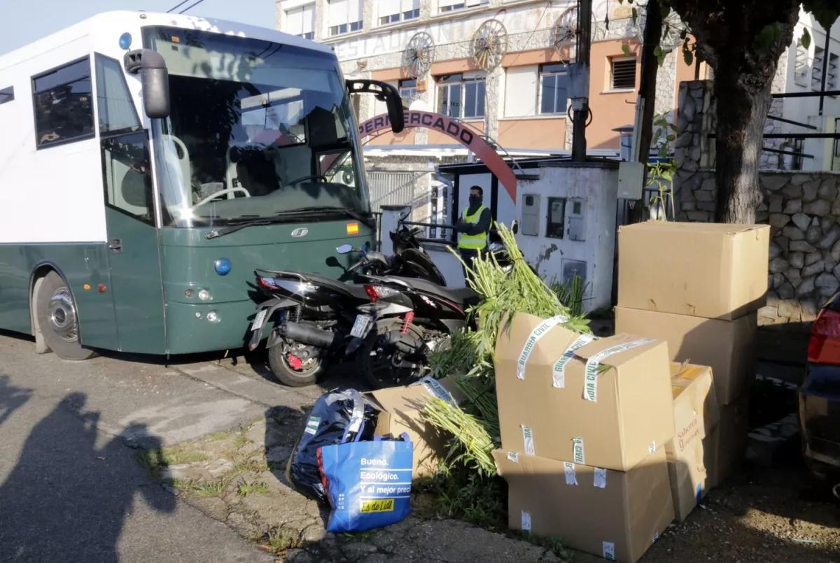 Se incauta 1500 plantas de marihuana en Girona