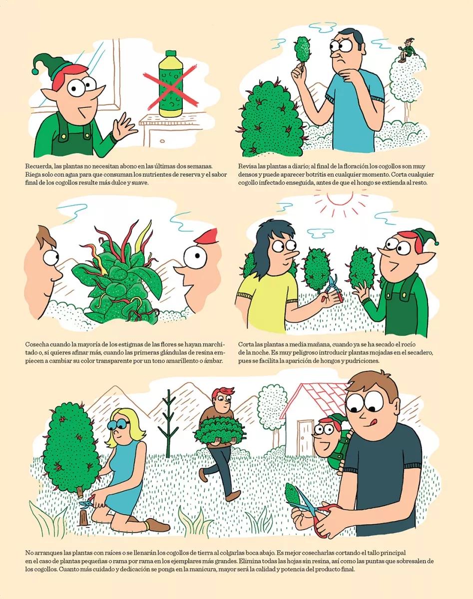 Cómic La cosecha y el secado