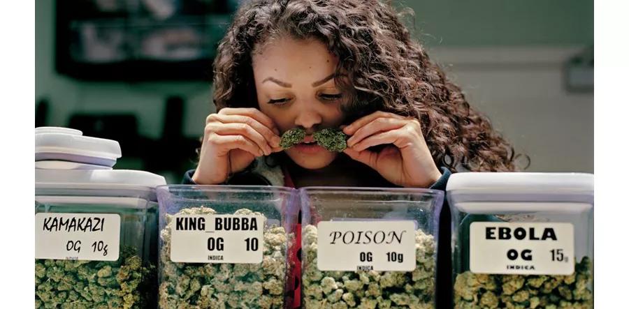 Huele el cannabis