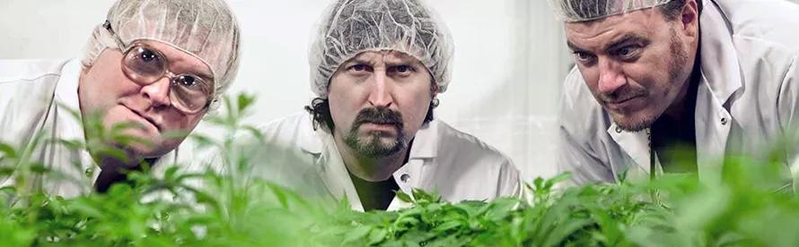 The Trailer Park Boys