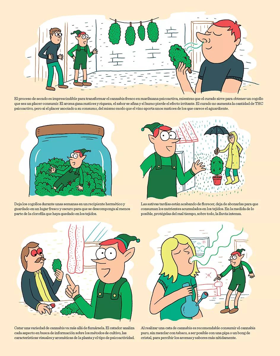 Cómic El curado y la cata