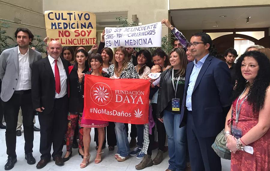 "Ley de Cultivo Seguro" Ana María Gazmuri