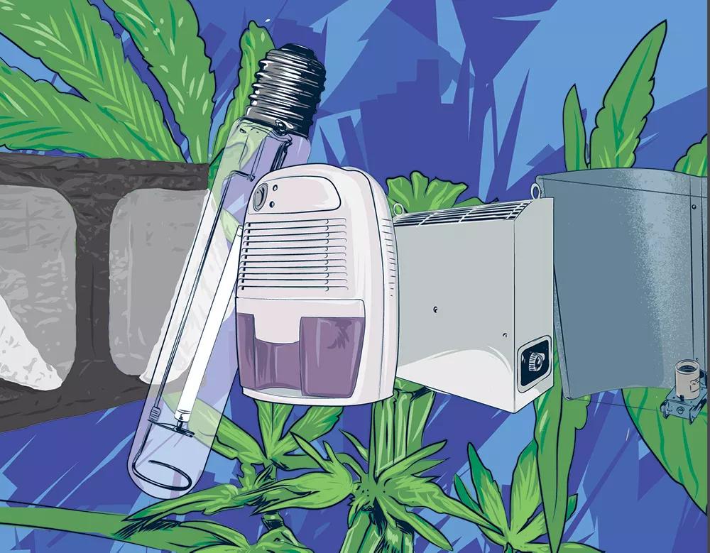 Herramientas cultivo