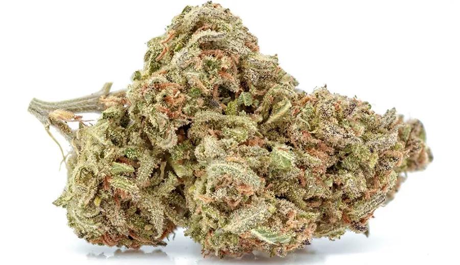 Rogue Blue Cheese de Roganja