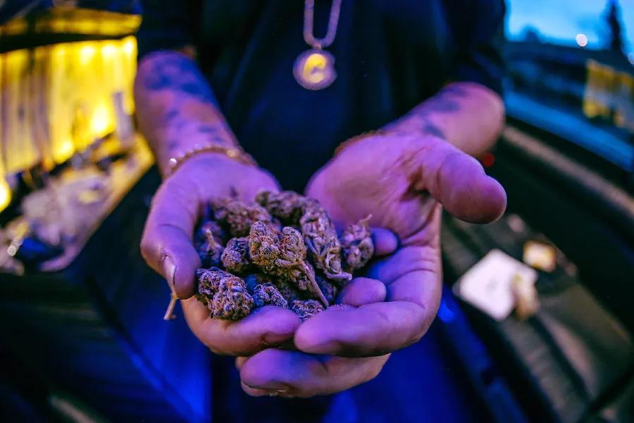 Berner variedades favoritas