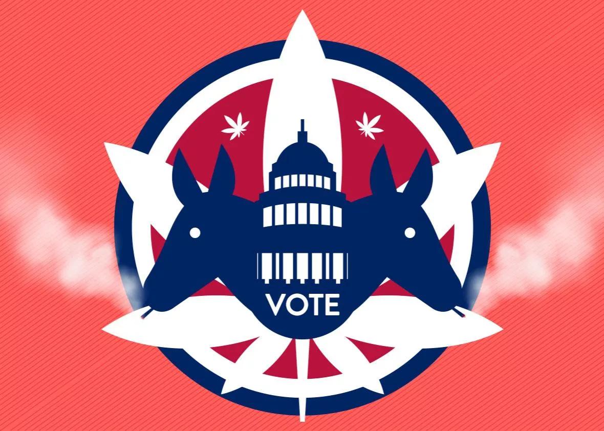 Los Demócratas apoyan masivamente la legalización del cannabis