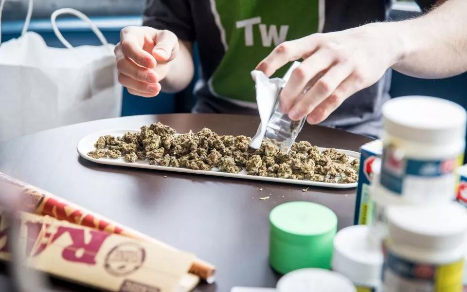 El porro (legal) más grande de Canadá