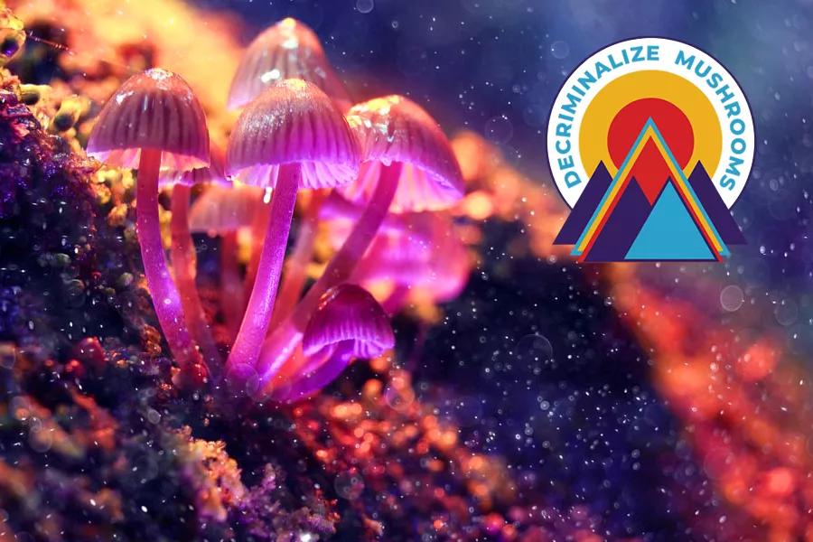Los hongos alucinógenos ganan en Denver