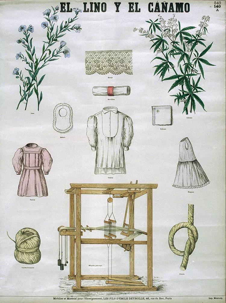 El cáñamo en España