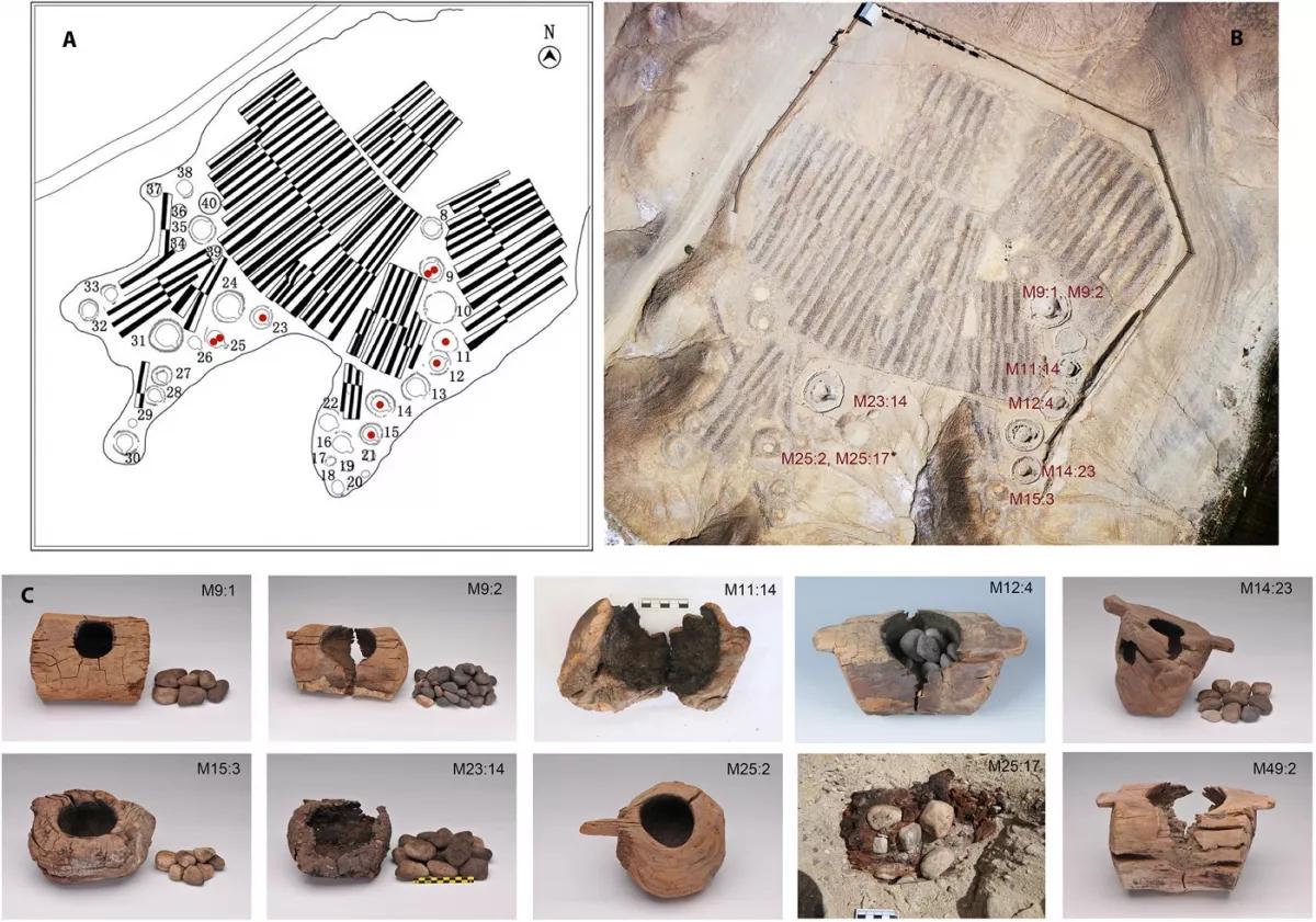 Una investigación internacional encuentra evidencias en China de que hace 2.500 años se utilizaba marihuana en rituales de enterramiento.