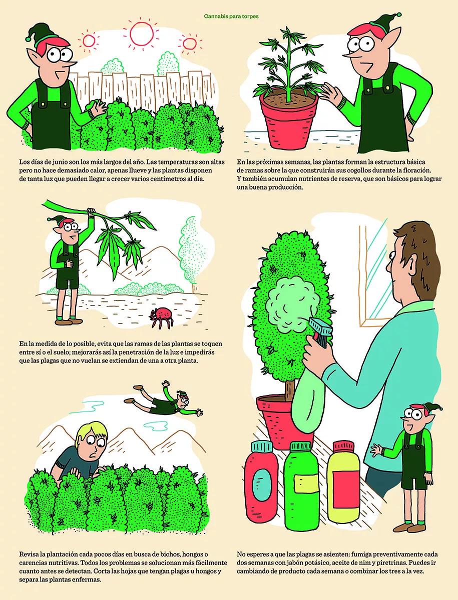 Cómic Cannabis para torpes 