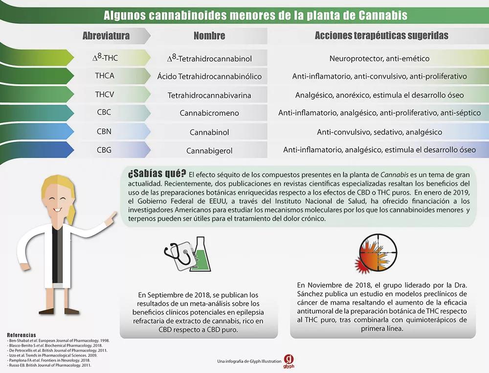 El "efecto séquito" en el cannabis