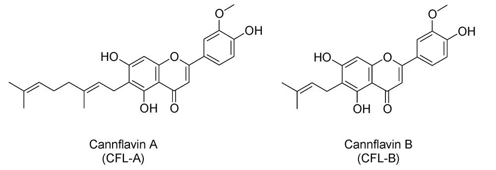 cannflavin A y cannflavin B