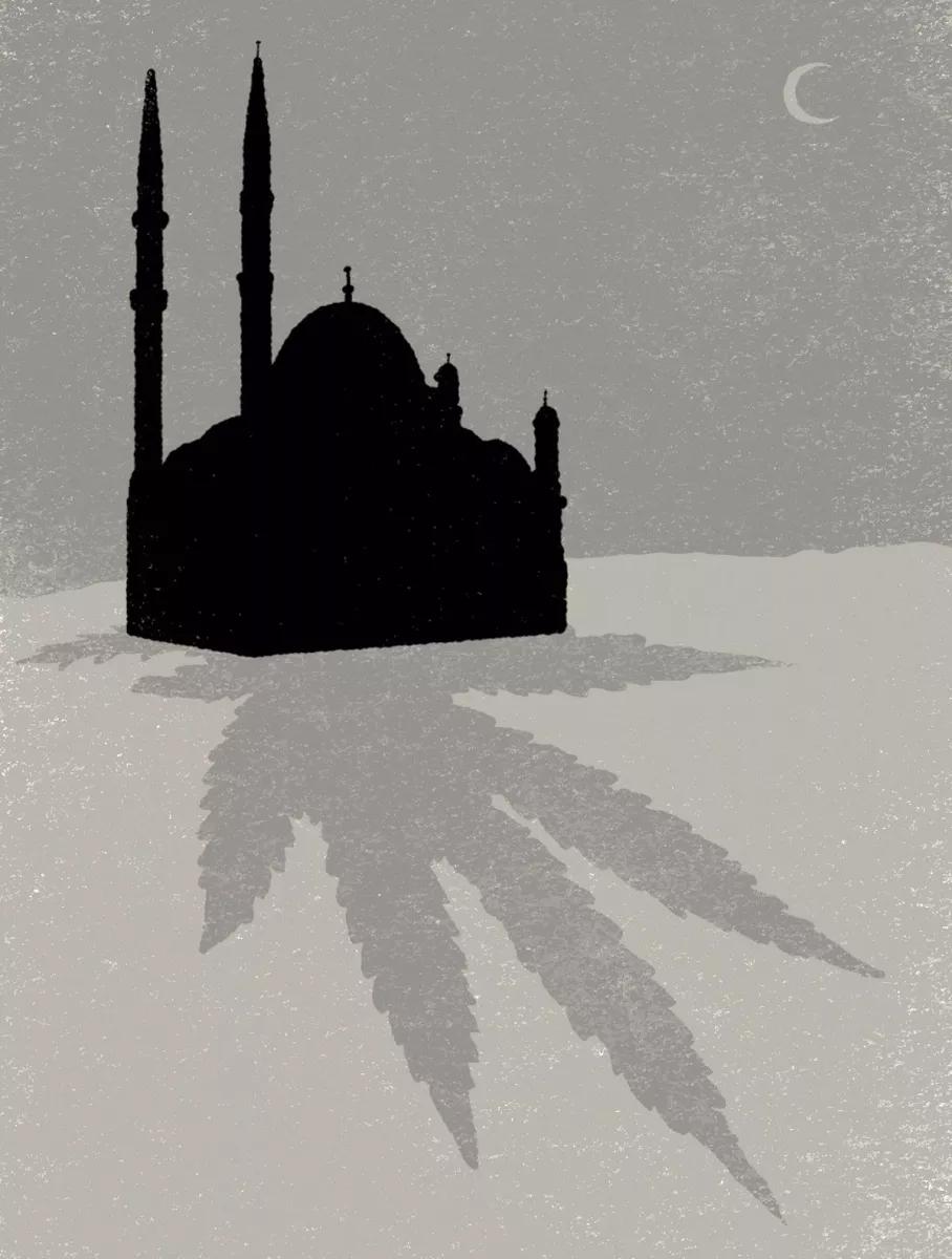 Ilustración la sombra de la marihuana