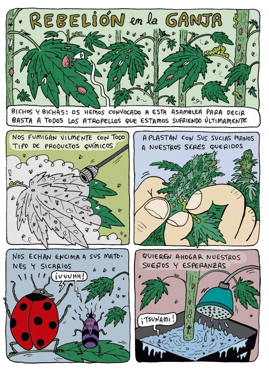 Rebelión en la Ganja 2