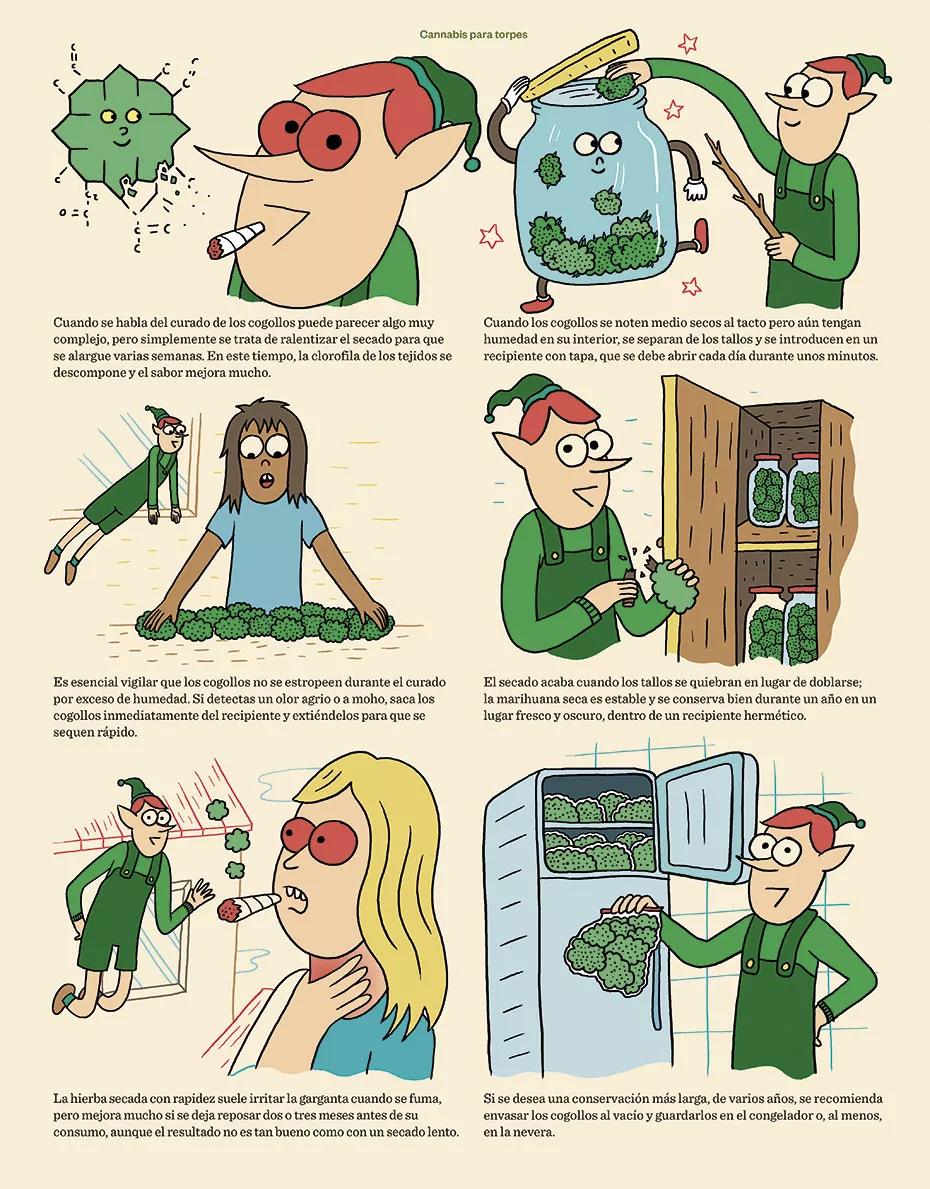 Cannabis para torpes 22.2