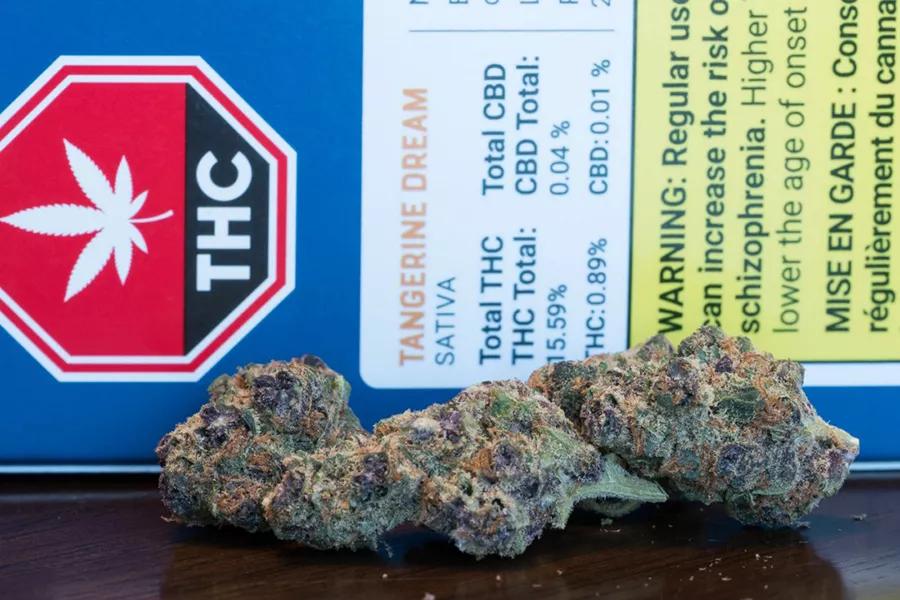 San Rafael ’71 Tangerine Dream