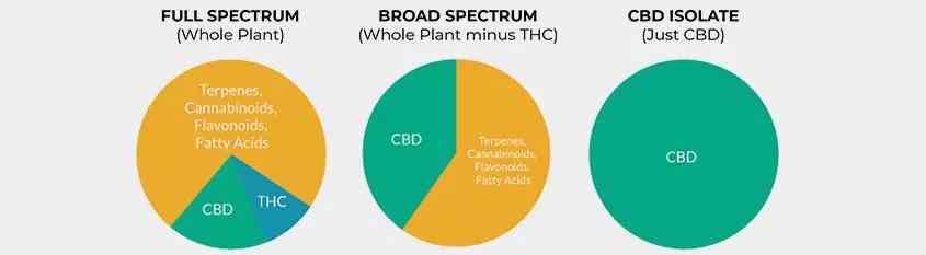 Diferencias entre el full spectrum y el broad spectrum CBD