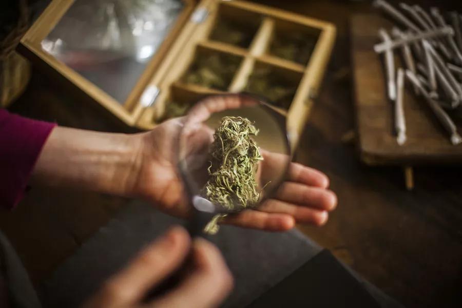 Fumar marihuana al “golpe de calor”