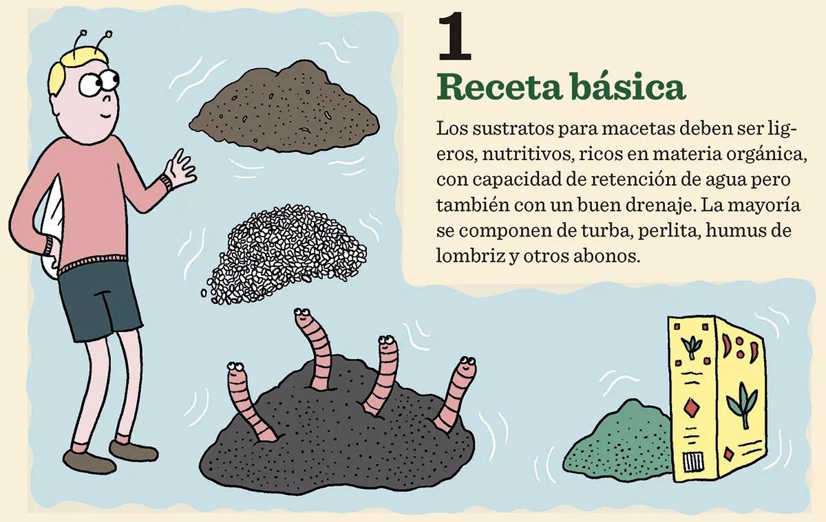 Claves mejor tierra 01
