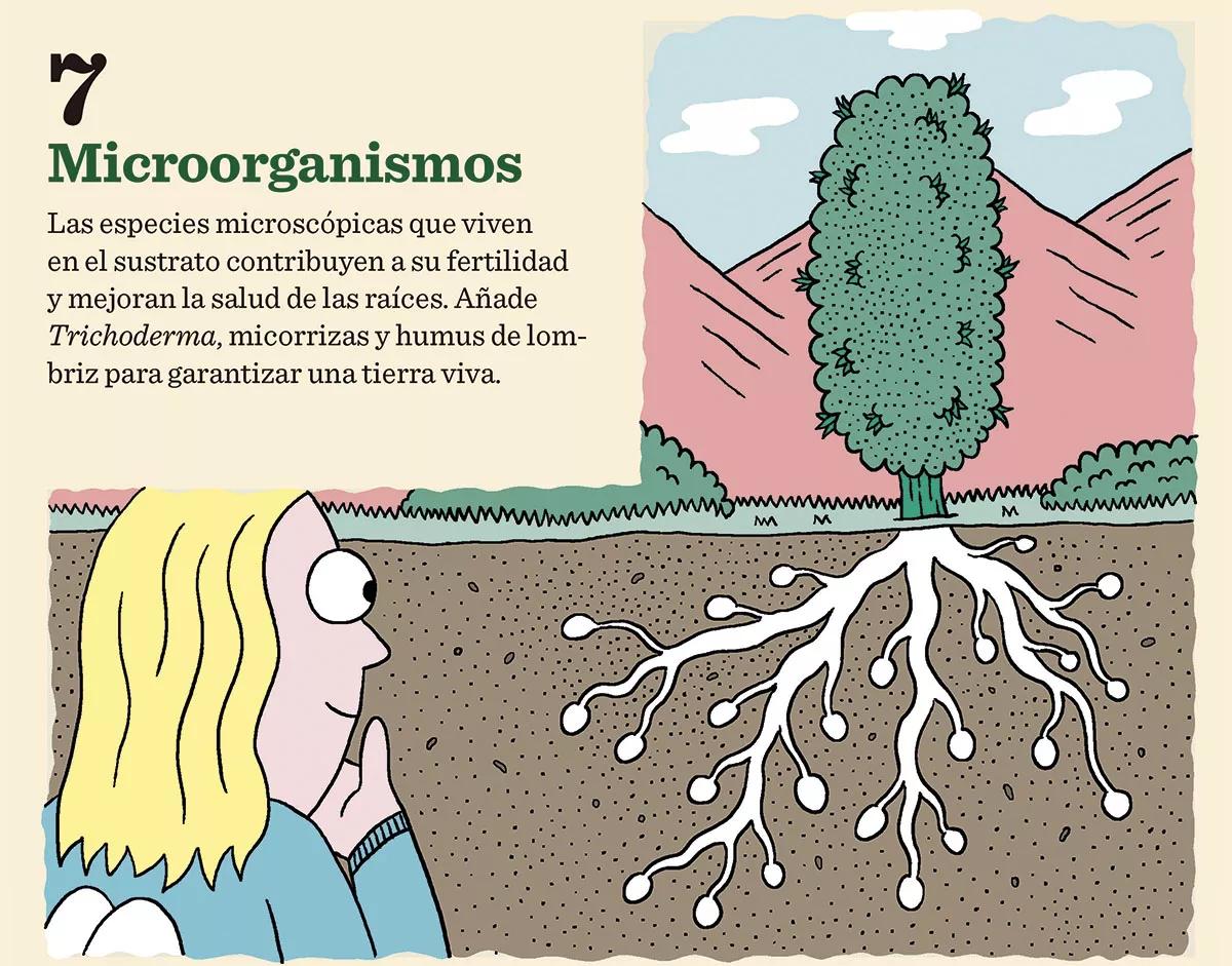 Claves mejor tierra 07