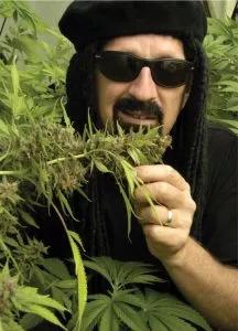 Jorge Cervantes: Don Quijote del manso cogollo