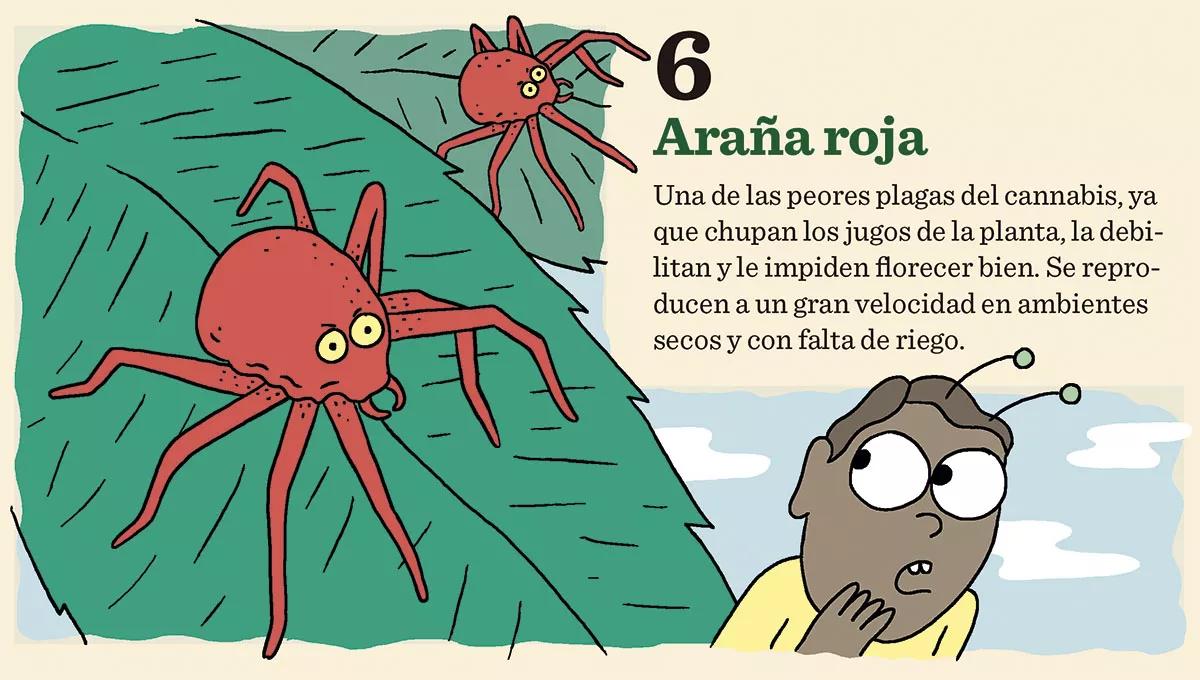 10 consejos para combatir las plagas