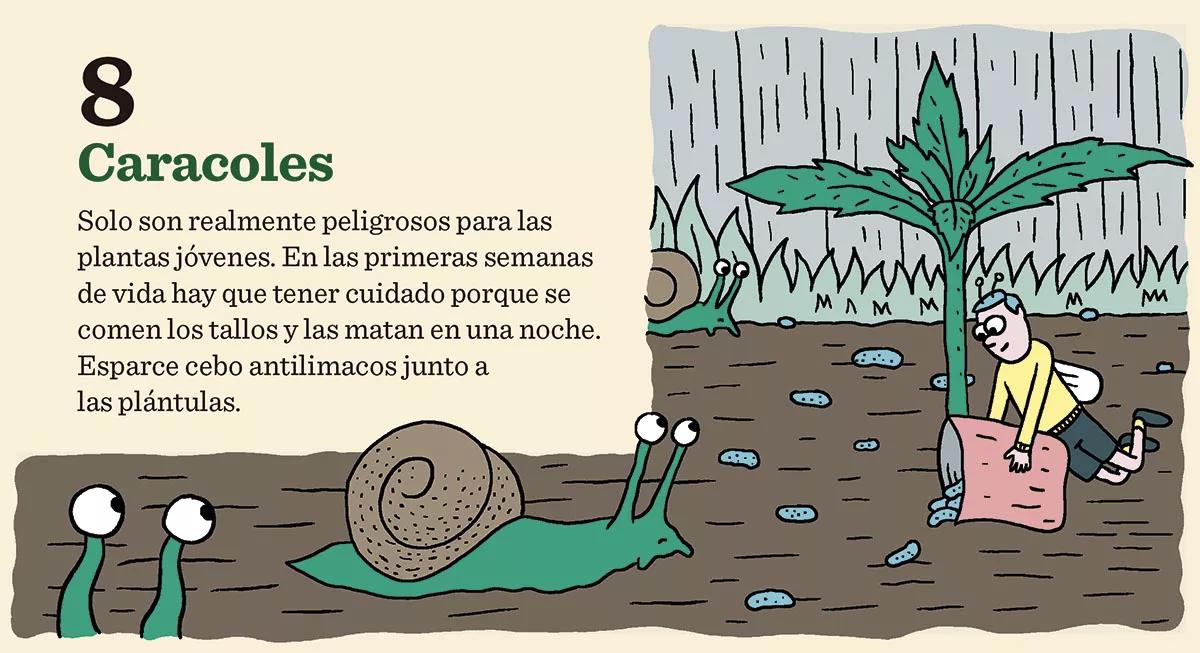 10 consejos para combatir las plagas