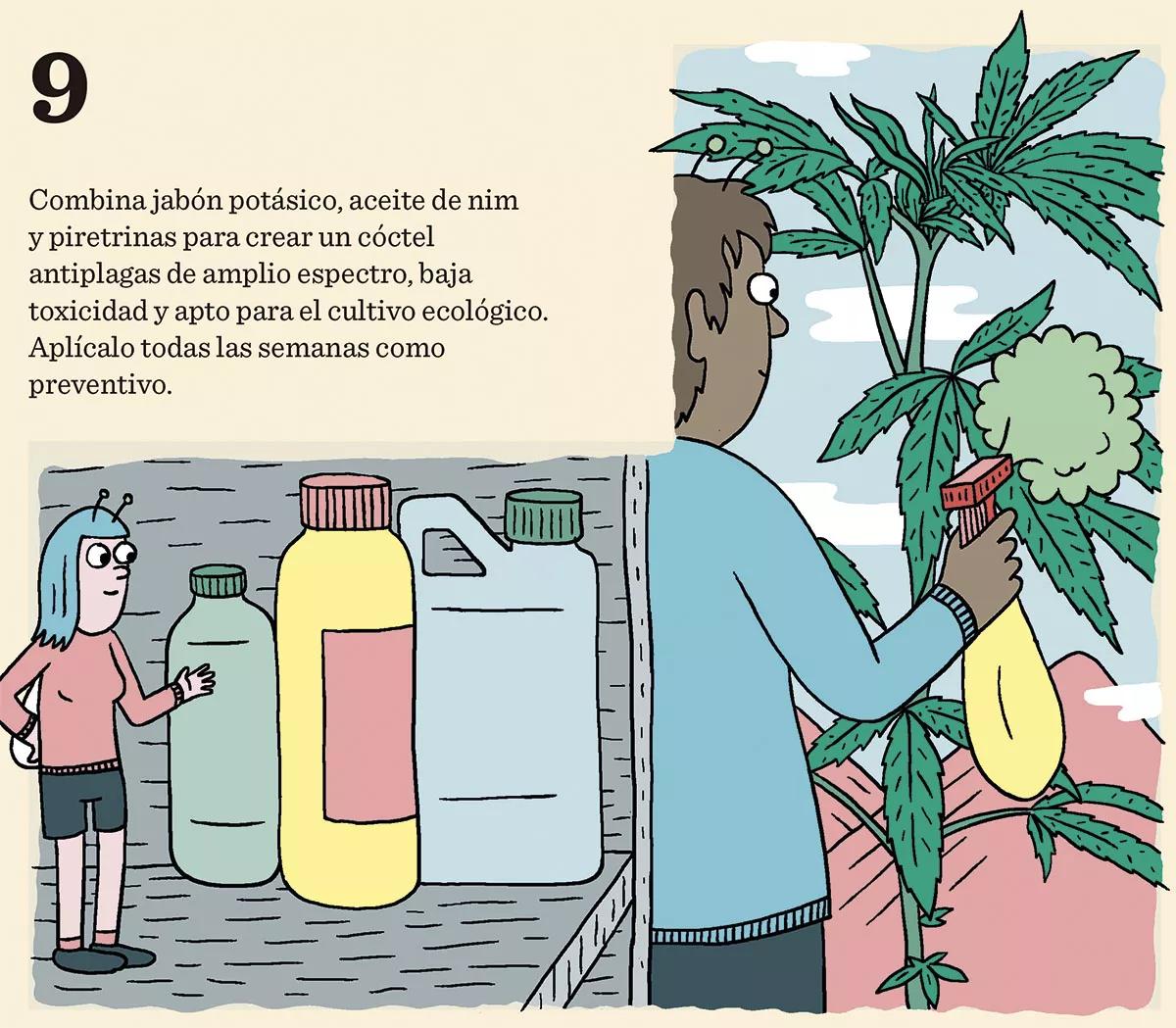 10 consejos para combatir las plagas