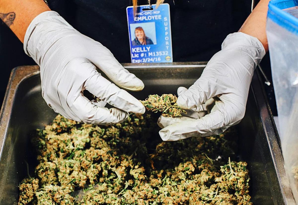 Colorado vende 200 Millones en marihuana en julio del 2020