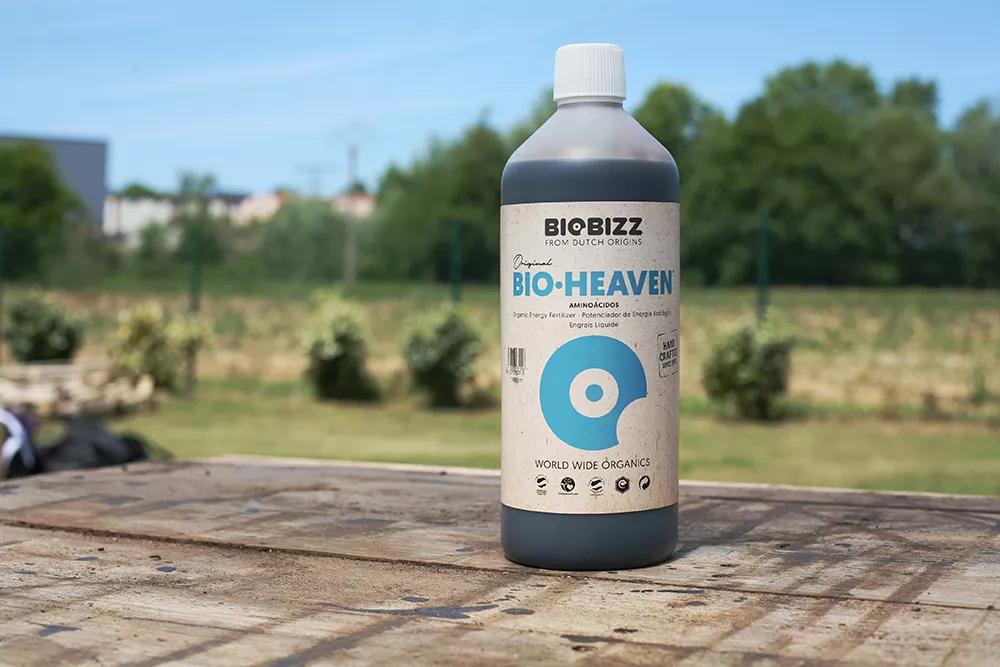 Bio·Heaven de Biobizz aporta los L-aminoácidos que la planta de cannabis necesita