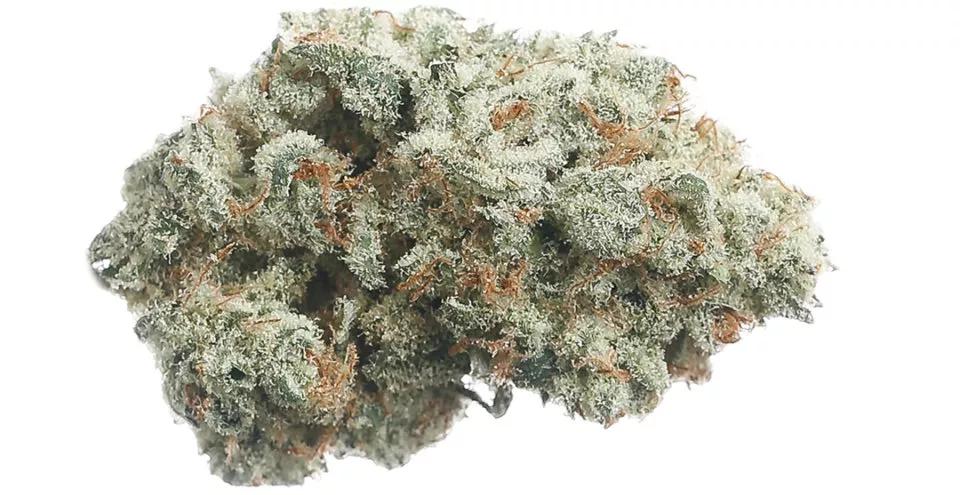 Gorilla’d Cheese de Revolution Cannabis