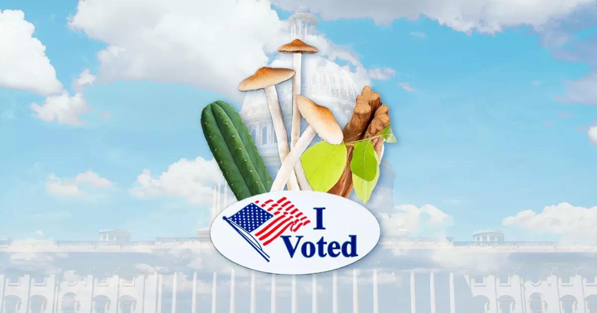 Washington D.C. despenaliza los psicodélicos naturales y Oregón la terapia con psilocibina