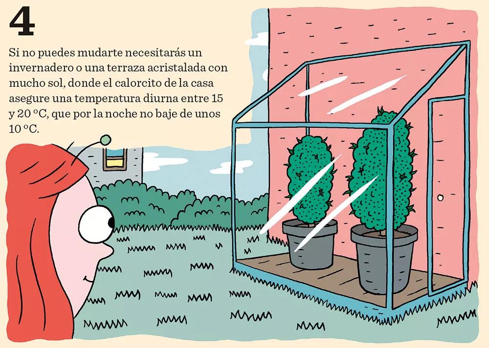 Ocho pasos para tener un cultivo invernal