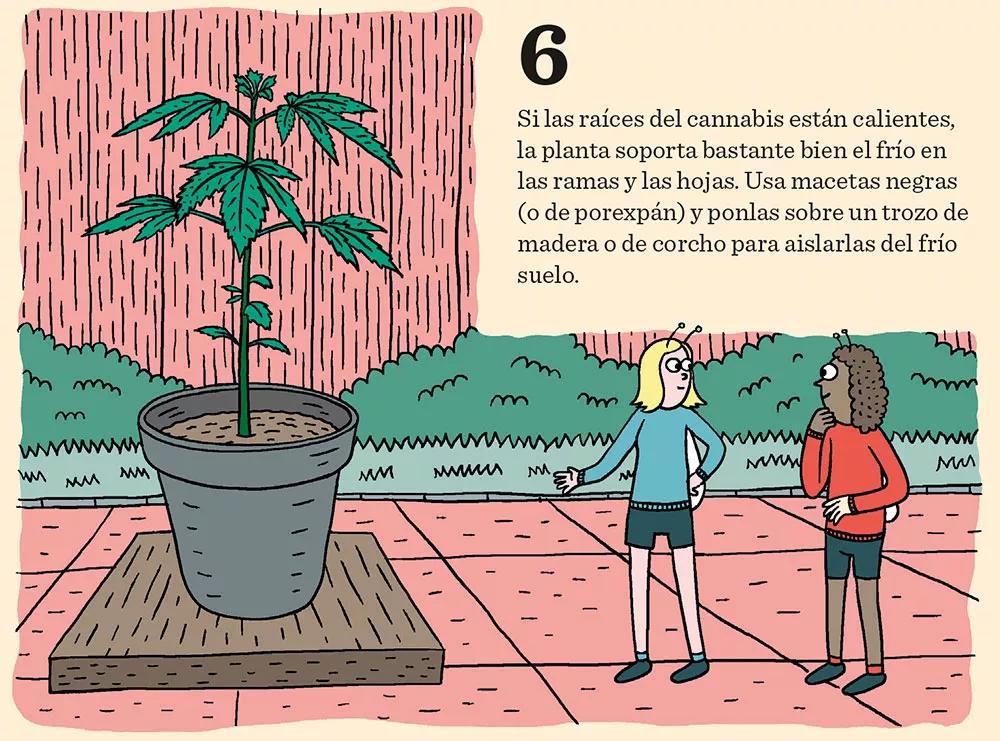 Ocho pasos para tener un cultivo invernal