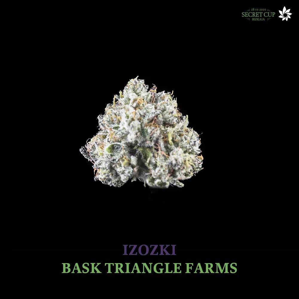 INTERIOR SATIVA 1º BASK TRIANGLE FARMS